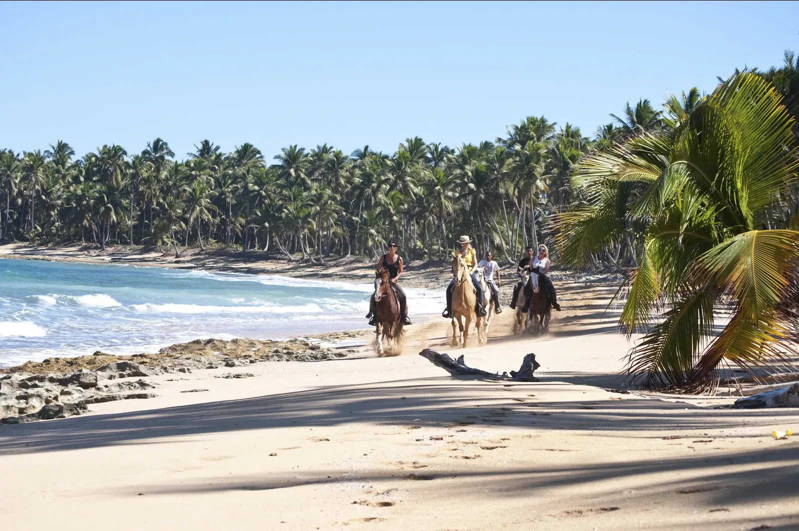 Caribische Trektocht te paard in Dominicaanse Republiek