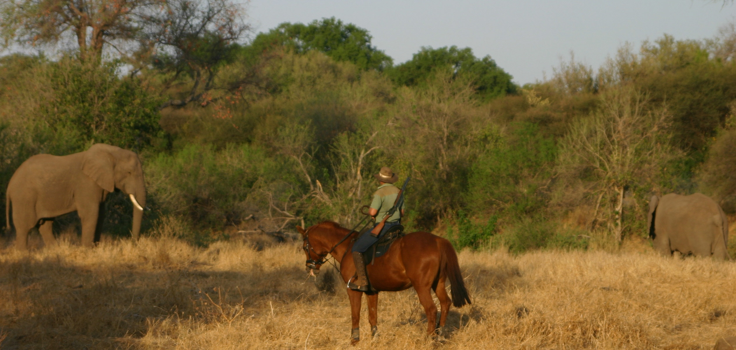 Ruitervakantie in Botwana met Trailfinders Ruitervakanties