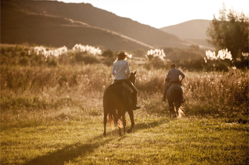 Te paard in Argentinië