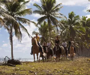 Caribische Trektocht te paard in Dominicaanse Republiek