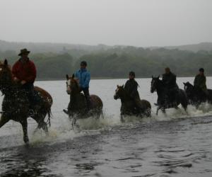 Gezellig met de familie paardrijden in Ierland
