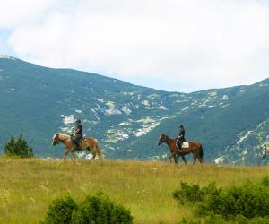 Paardrijden langs de wijnroutes van Herzegovina