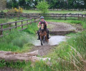 Springen en Cross Country