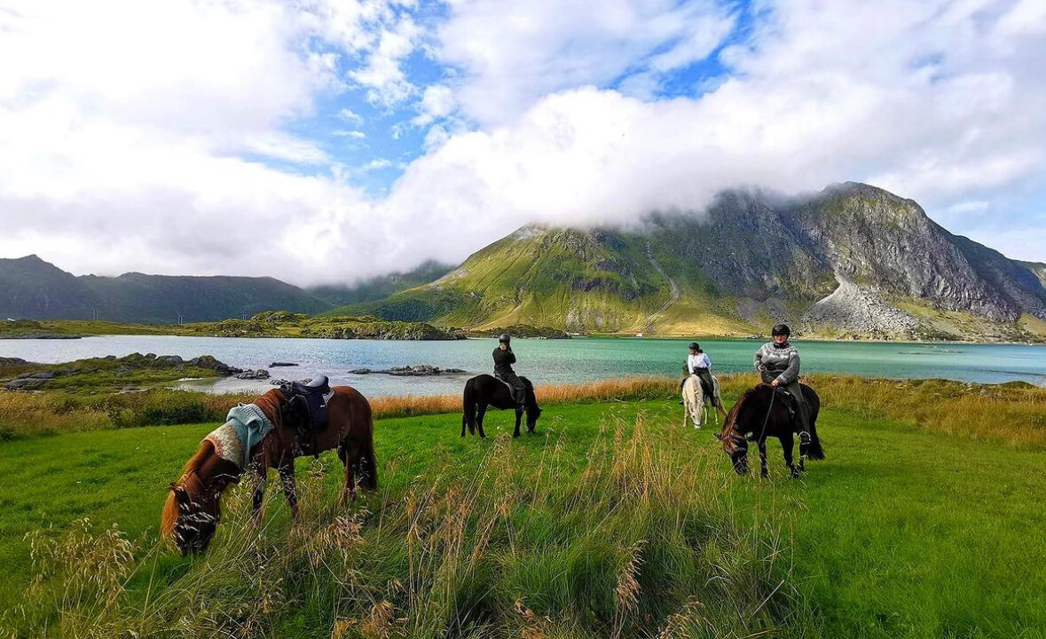 NOHGLLT - Verken magische Lofoten te paard (11).jpeg