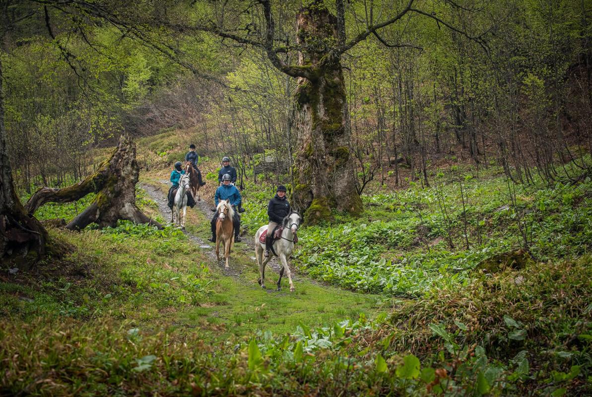 Vakantie te paard in Bosnië en Herzegovina met Trailfinders Ruitervakanties