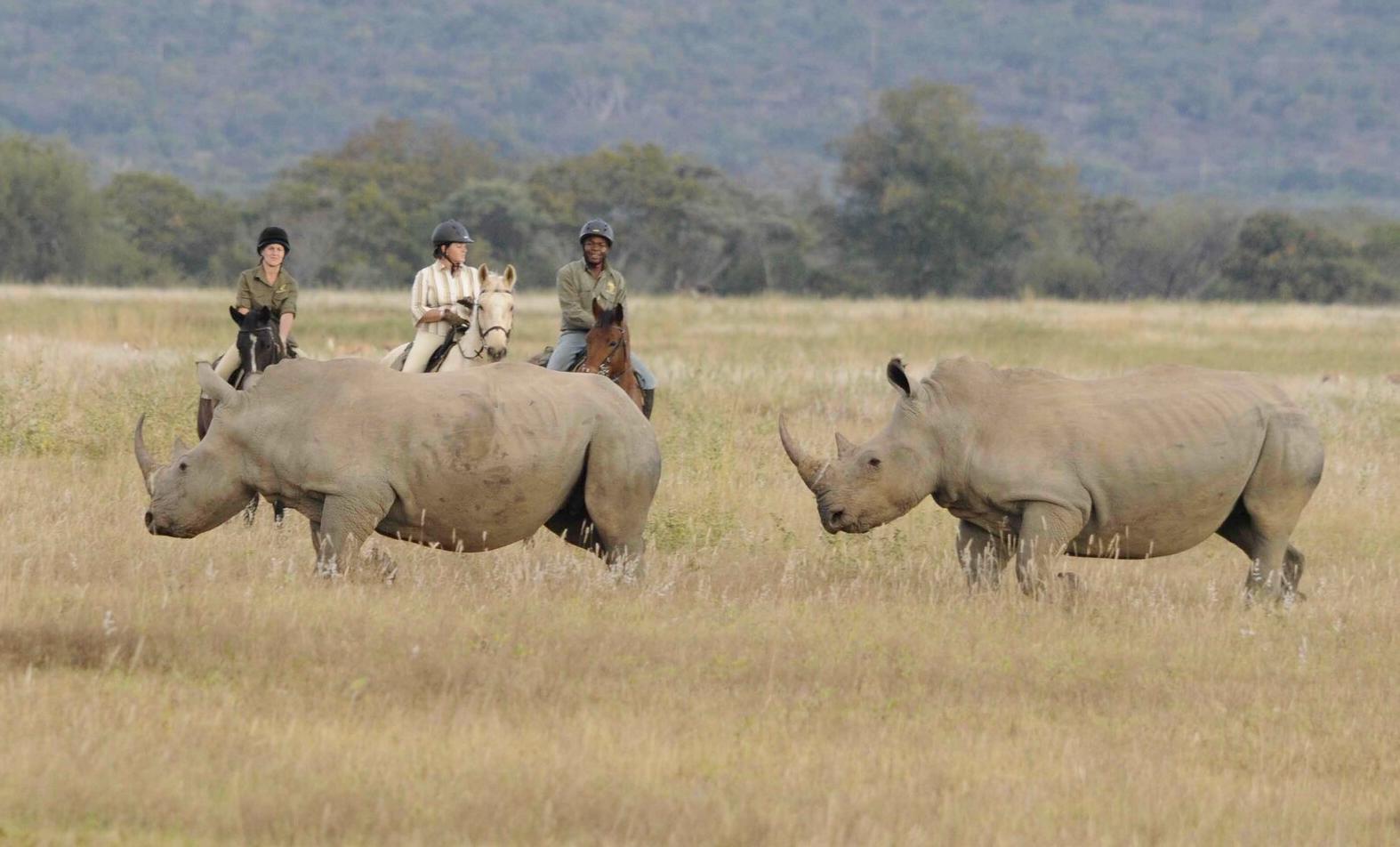 Safari te paard met Trailfinders Ruitervakanties